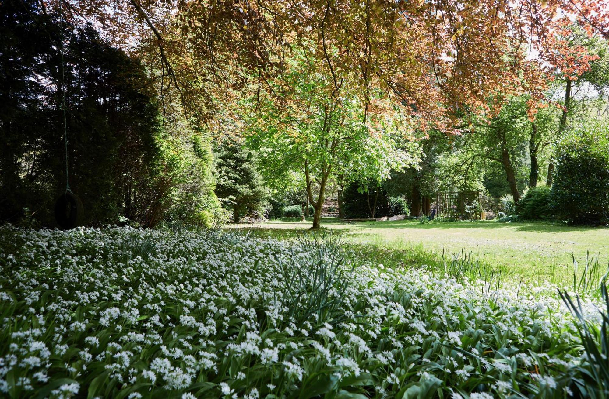 Afon Rhaiadr Country House Dolgellau Luaran gambar